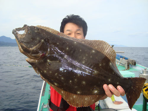 炵