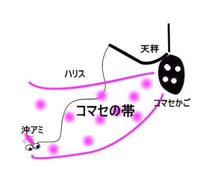 今日の49 2kgだ ツリグ系 今日の何がし