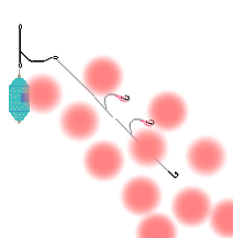 仕掛け ツリグ系 今日の何がし